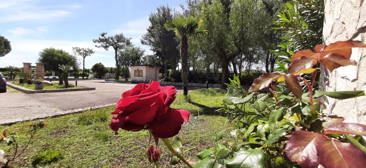Masseria San Nicola B&B Torre Santa Susanna Kültér fotó