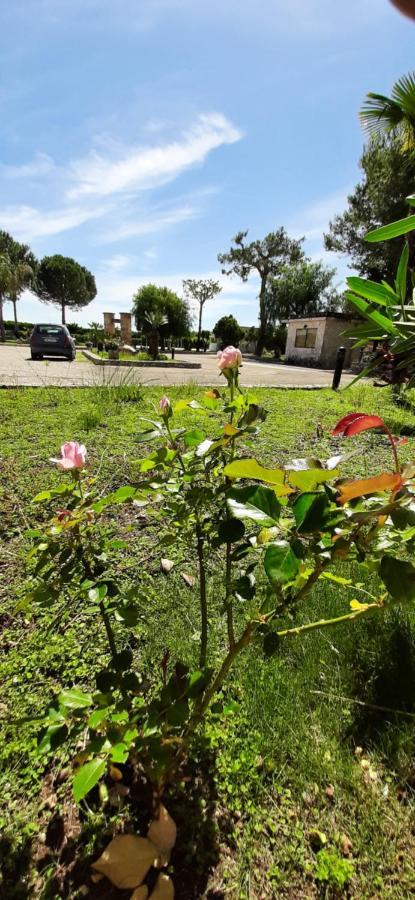 Masseria San Nicola B&B Torre Santa Susanna Kültér fotó
